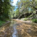 Property photo for land for sale in Franklin County Mississippi
