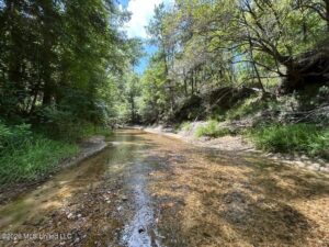 Property photo for land for sale in Franklin County Mississippi