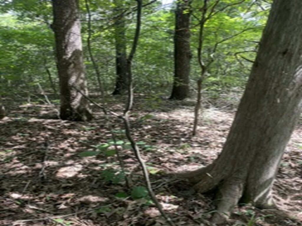 55b1ef48-439b-42e7-b3fb-1412911232af.jpg
