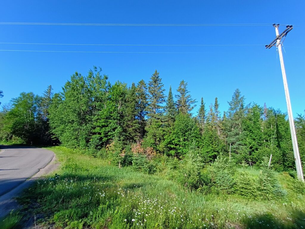 584d0306-953e-44b9-9a1c-215db3074cc0.jpg