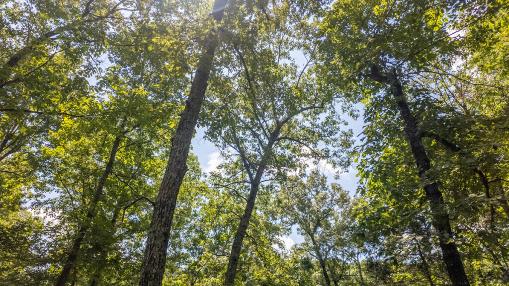 58640585-c494-42fe-ab02-8577cfab6c2e.jpg