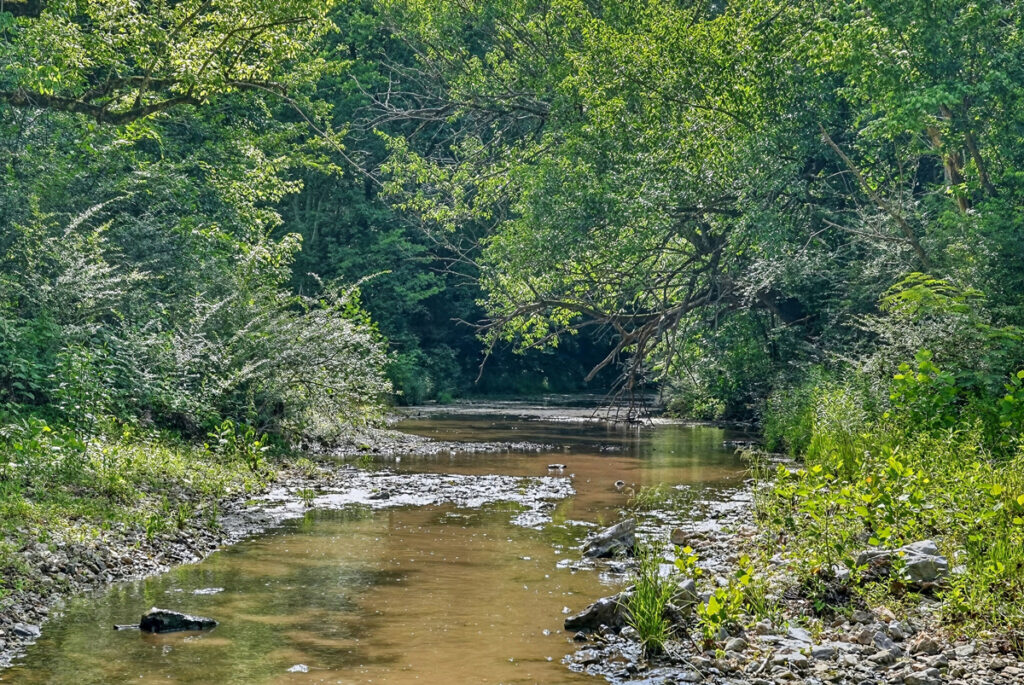 59a78b32-1561-4593-9151-b7869df7aa78.jpg