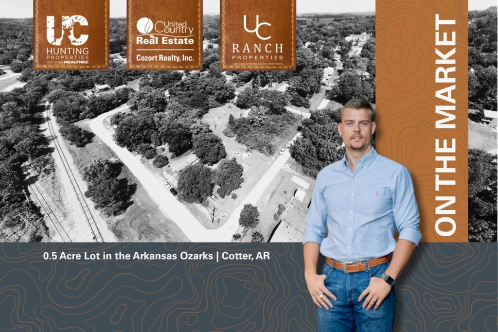 Property photo for land for sale in Baxter County Arkansas