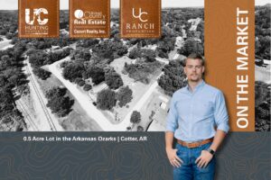 Property photo for land for sale in Baxter County Arkansas