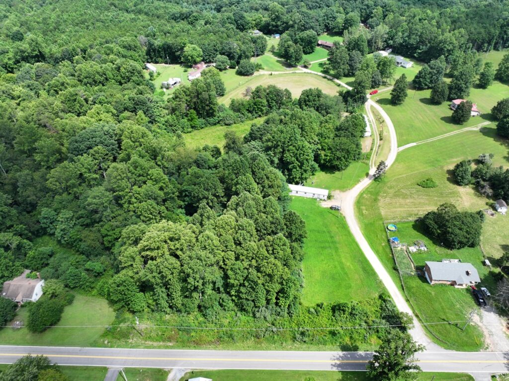 5b3d748d-e974-4e35-a084-995522ceab2a.jpg