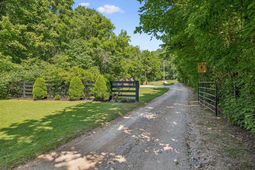 5cc320bb-ce63-48f5-8372-1f14f19bfe04.jpg
