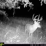 Property photo for land for sale in Woodson County Kansas
