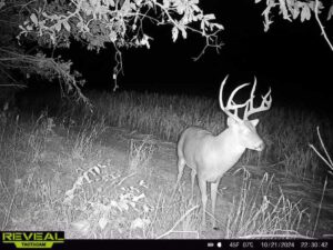 Property photo for land for sale in Woodson County Kansas
