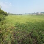 Property photo for land for sale in Trempealeau County Wisconsin