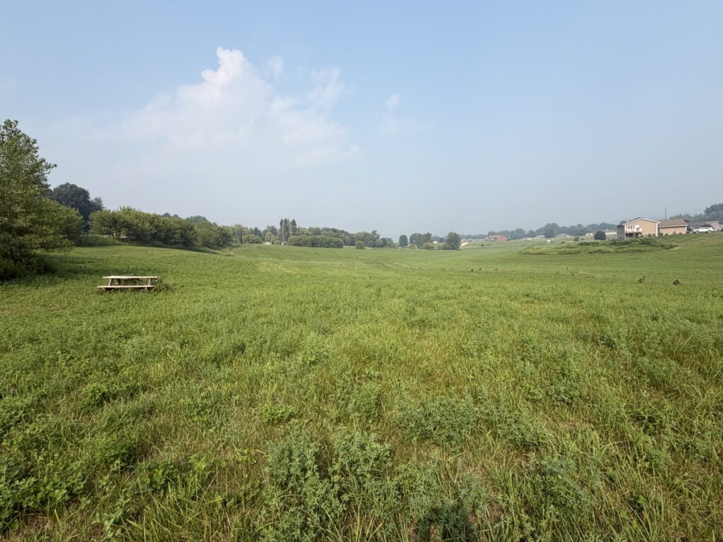 5fa20d97-f8d4-4ba6-ab8c-a80281cb8121.jpg