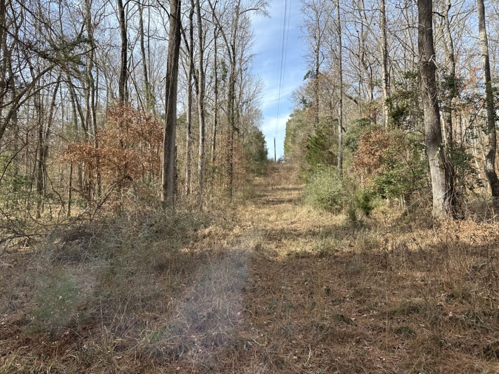 Property photo for land for sale in Cherokee County Texas