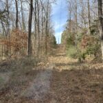 Property photo for land for sale in Cherokee County Texas