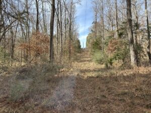 Property photo for land for sale in Cherokee County Texas