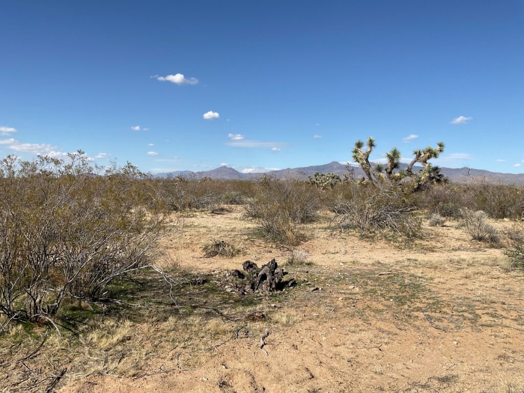 Property photo for land for sale in Mohave County Arizona