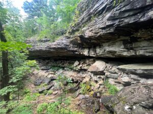 Property photo for land for sale in Newton County Arkansas