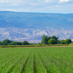 Property photo for land for sale in Montrose County Colorado