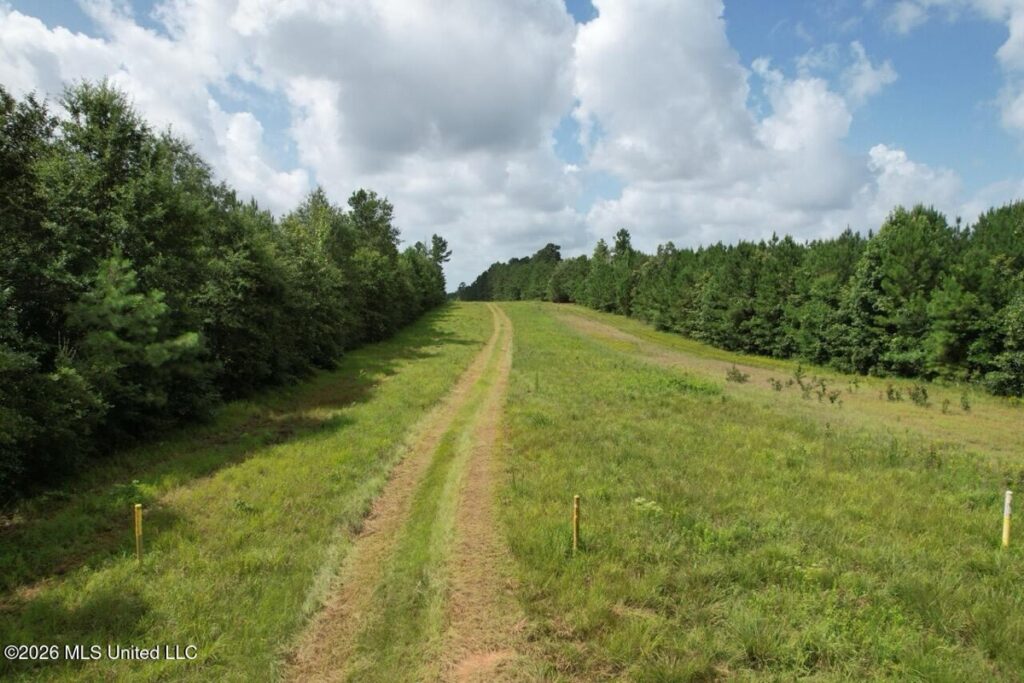 Property photo for land for sale in St. Helena County Louisiana