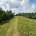 Property photo for land for sale in St. Helena County Louisiana