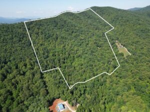 Property photo for land for sale in Amherst County Virginia