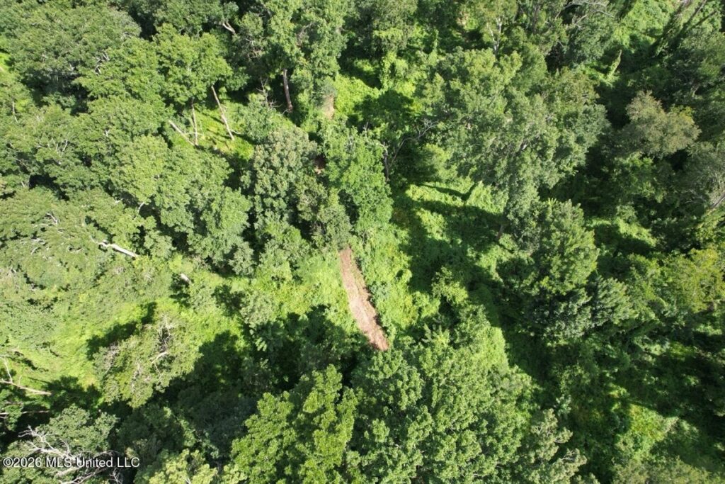 Property photo for land for sale in West Feliciana County Louisiana