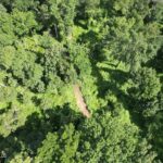 Property photo for land for sale in West Feliciana County Louisiana