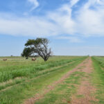 Property photo for land for sale in Cotton County Oklahoma