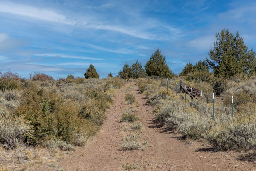 6e3fbcc7-ef50-4b0c-bf63-e3438cb60cf8.jpg