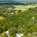 Property photo for land for sale in Dixie County Florida