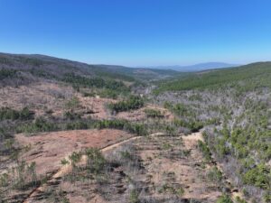 Property photo for land for sale in Le Flore County Oklahoma