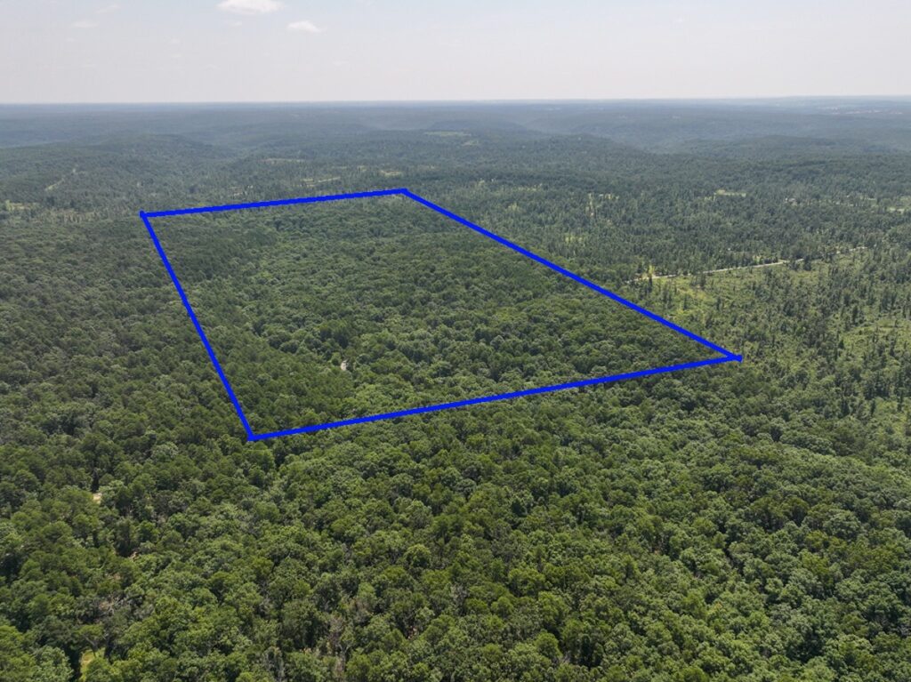 Property photo for land for sale in Texas County Missouri