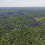 Property photo for land for sale in Texas County Missouri