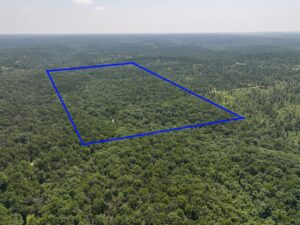 Property photo for land for sale in Texas County Missouri
