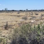 Property photo for land for sale in Torrance County New Mexico