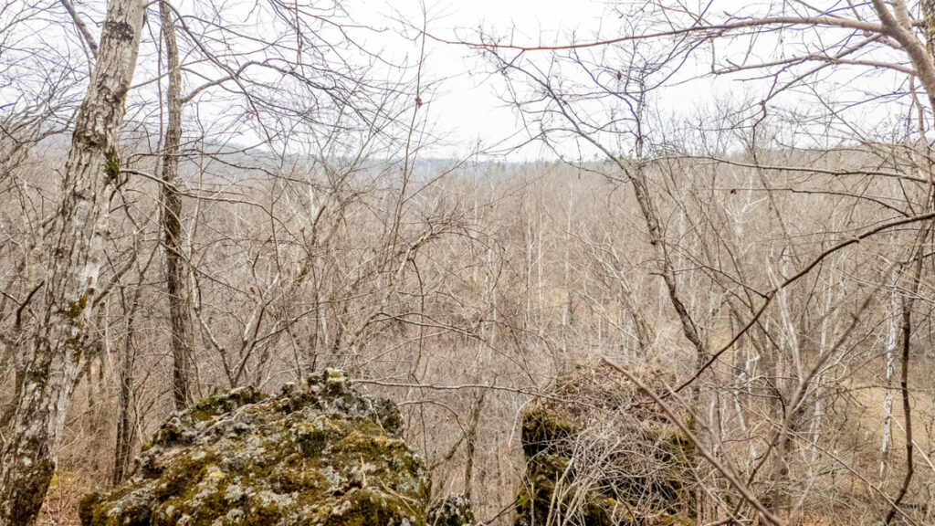 753914c9-f995-4dd2-a02d-ddf5a76a8fcf.jpg