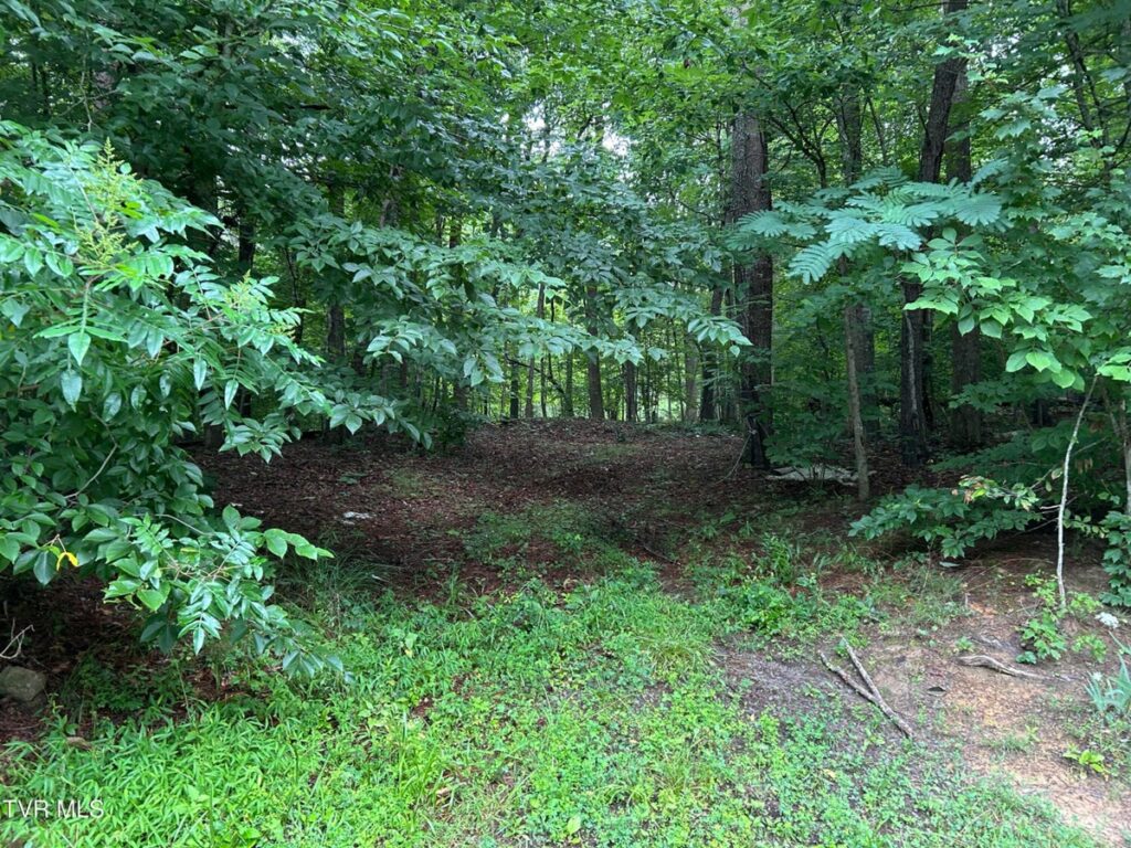 Property photo for land for sale in  County Tennessee