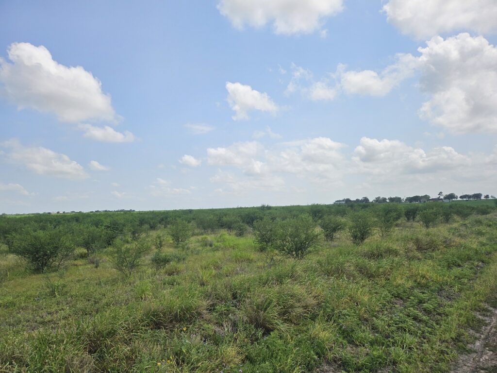 Property photo for land for sale in Jim Wells County Texas