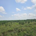 Property photo for land for sale in Jim Wells County Texas