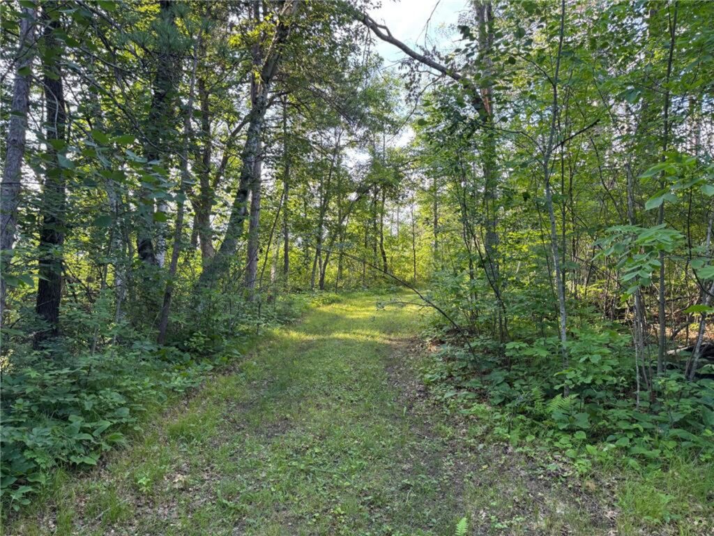 Property photo for land for sale in Carlton County Minnesota