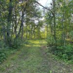 Property photo for land for sale in Carlton County Minnesota
