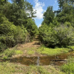 Property photo for land for sale in Randolph County Georgia
