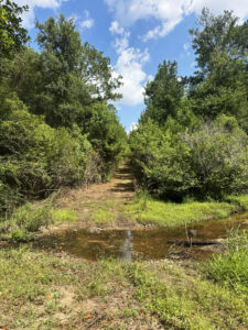 Property photo for land for sale in Randolph County Georgia