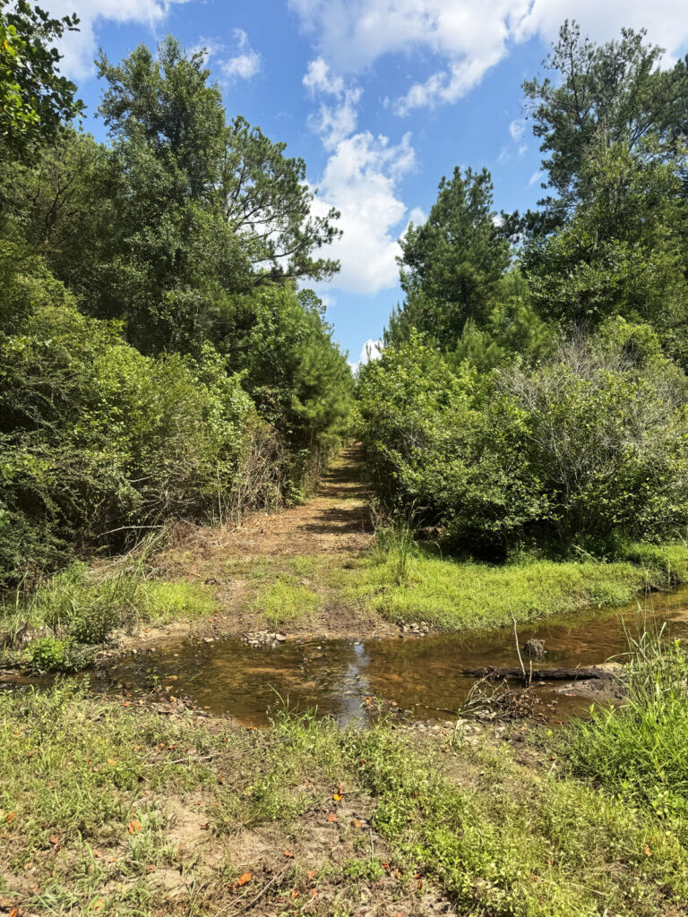 Property photo for land for sale in Randolph County Georgia