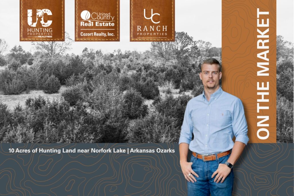 Property photo for land for sale in Fulton County Arkansas
