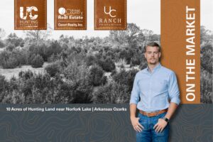 Property photo for land for sale in Fulton County Arkansas