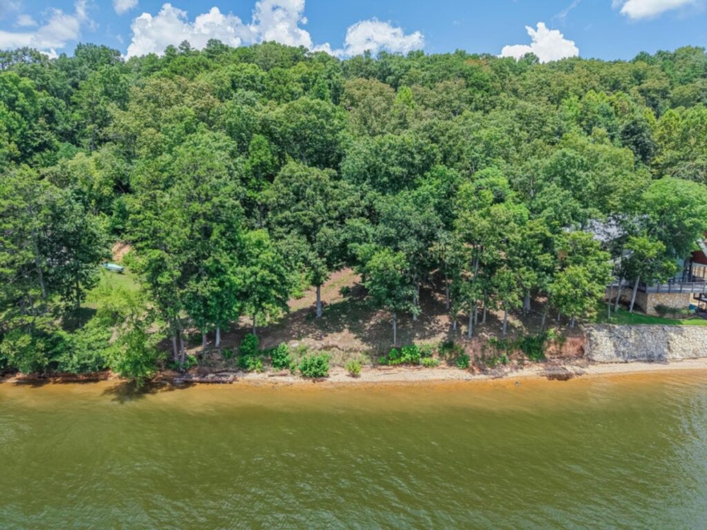7b162ffa-fe30-4ca6-8f2f-76add72089c6.jpg