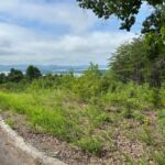 Property photo for land for sale in Grainger County Tennessee
