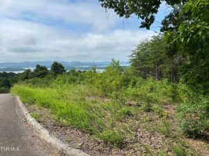 Property photo for land for sale in Grainger County Tennessee
