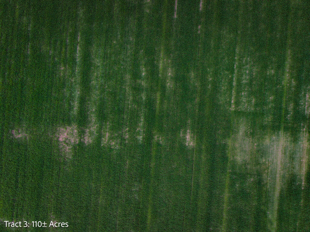7c4d092d-085a-42e3-9737-b52b46e02869.jpg