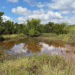 Property photo for land for sale in Brown County Texas