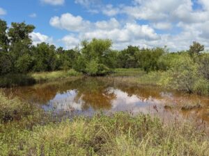 Property photo for land for sale in Brown County Texas
